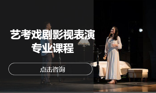 艺考戏剧影视表演专业课程